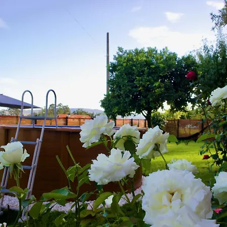 Rosinha Country House Vale de Cambra Exterior photo