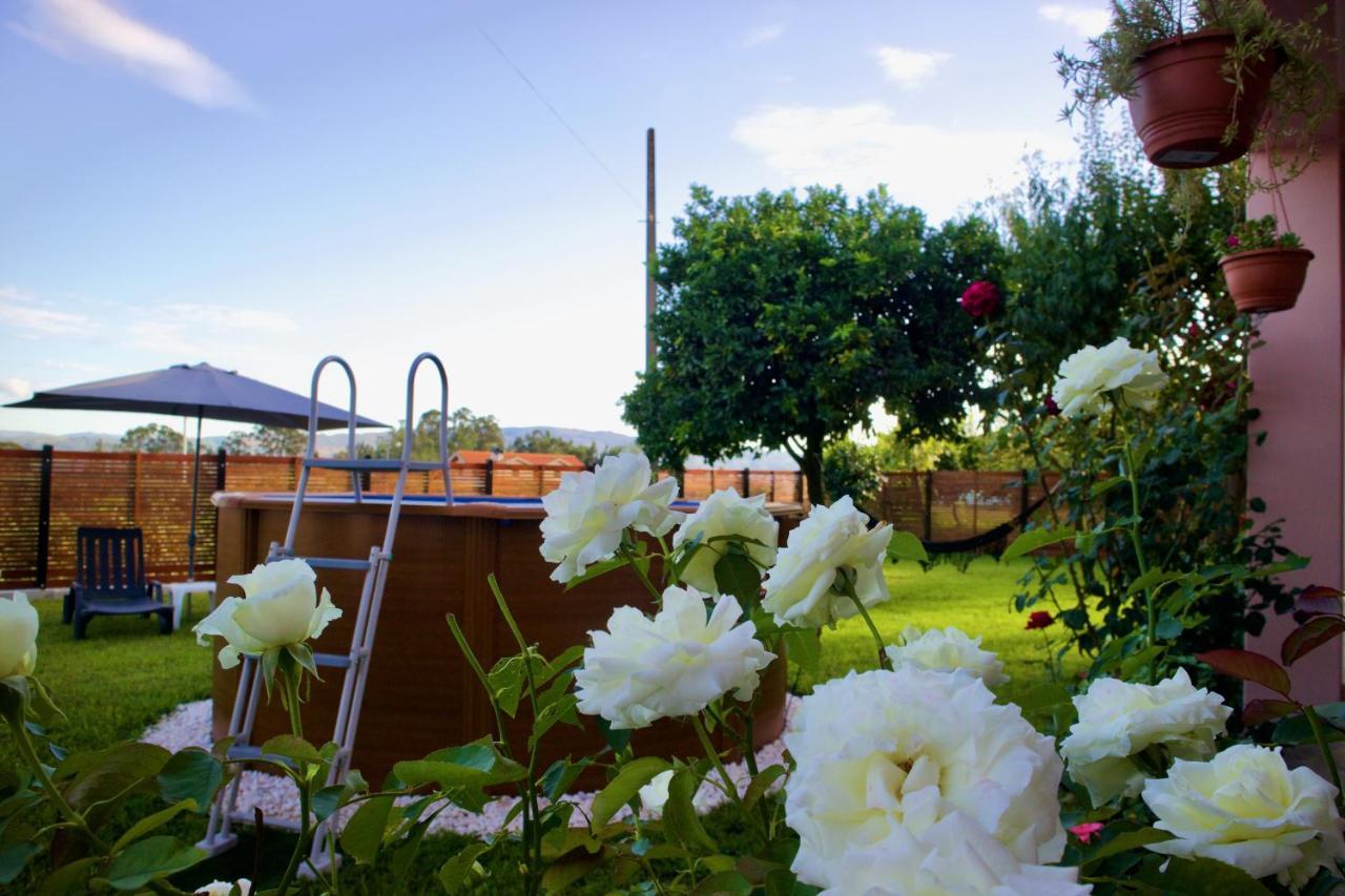 Hébergement de vacances Rosinha