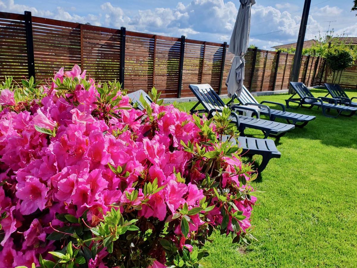 Rosinha Holiday home Vale de Cambra