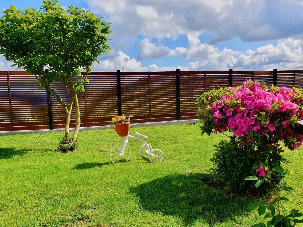 Hébergement de vacances Rosinha