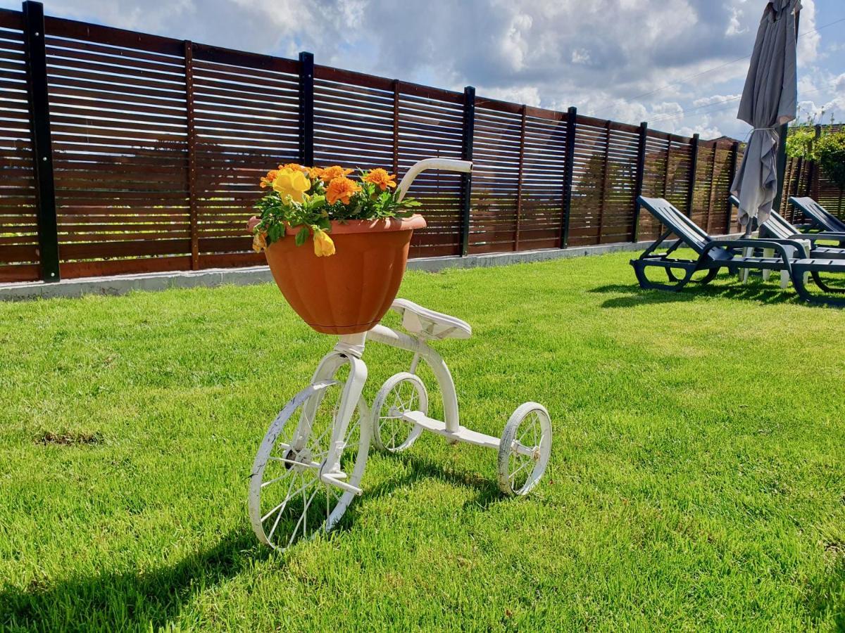 Rosinha Holiday home *